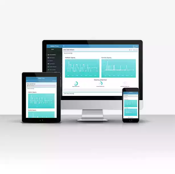 Profesyonel E-Ticaret V4